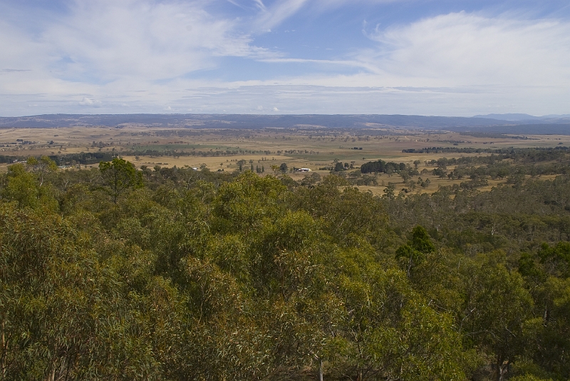 Cooma-10
