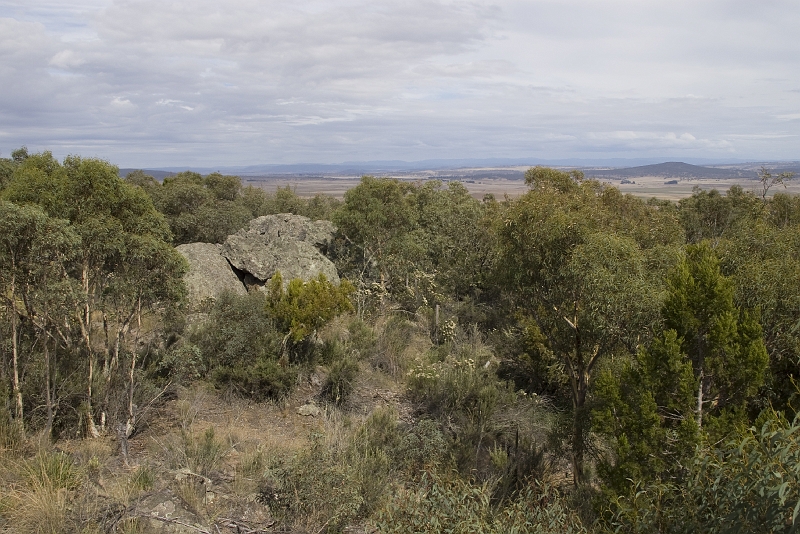 Cooma-9