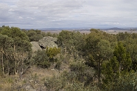 Cooma-9
