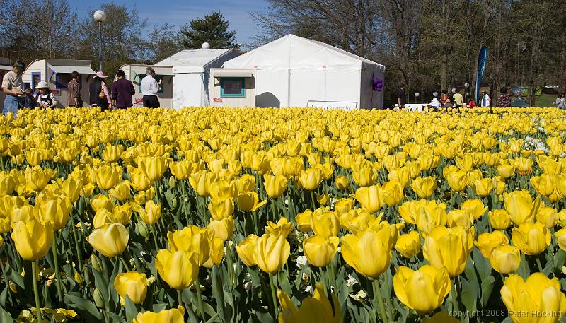 Floriade2008-14