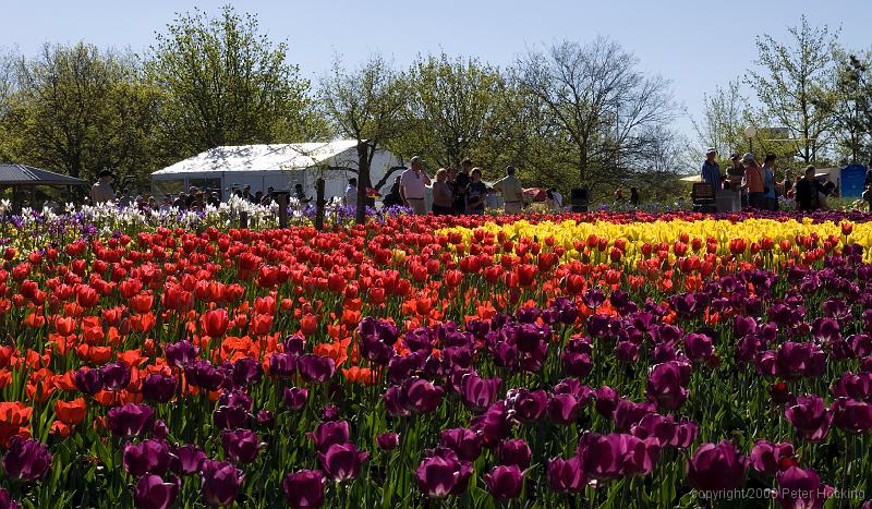 Floriade2008-18
