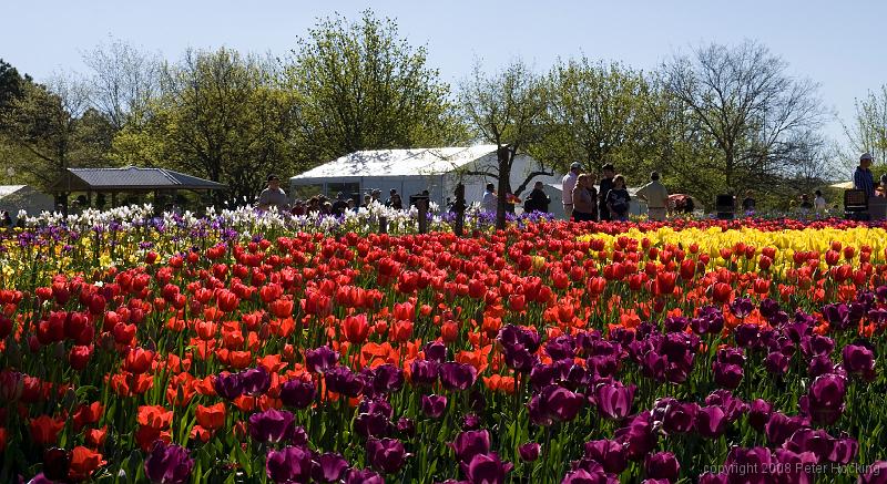 Floriade2008-19