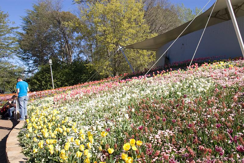 Floriade2008-24