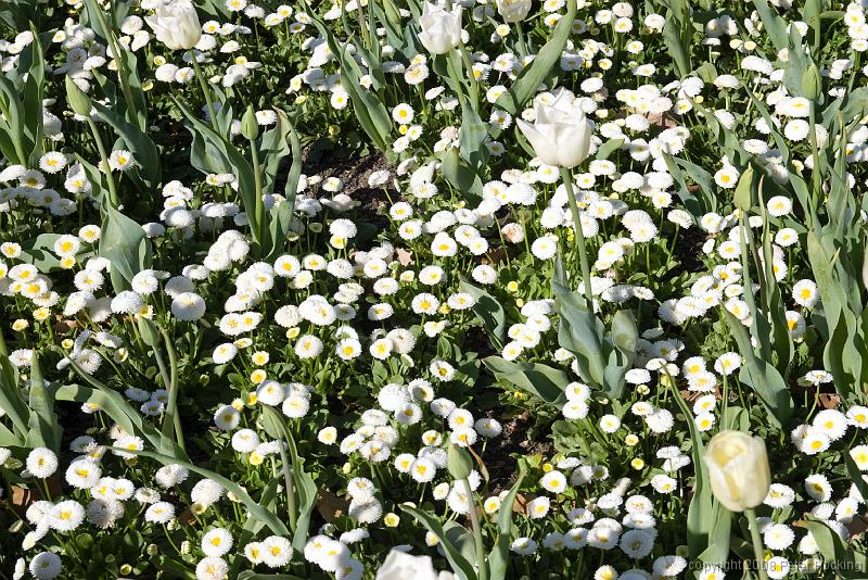 Floriade2008-9