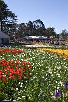 Floriade2008-1