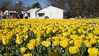 Floriade2008-14