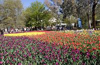 Floriade2008-16