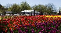 Floriade2008-19