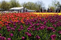 Floriade2008-20