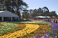 Floriade2008-3