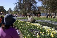 Floriade2008-4