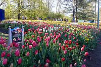 Floriade2008-47