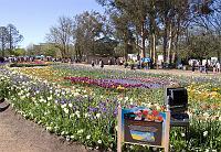 Floriade2008-6