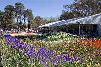 Floriade2008-7