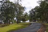  View looking north up the road