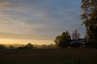  Early Sunday morning, (looking over the back fence)