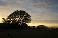  Early Sunday morning, (looking over the back fence)