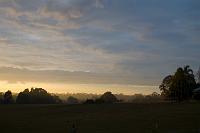  Early Sunday morning, (looking over the back fence)