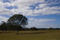  View over the back fence