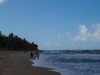 Cairns2009-11  The Jetty, Palm Cove beach : 2009 Holidays, Cairns, Queensland, road trip