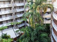 Cairns2009-144  the internal garden in the Holiday Inn Cairns where we stayed : 2009 Holidays, Cairns, Green Island, Queensland, road trip, snorkelling