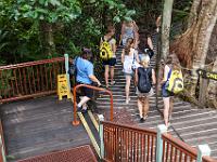 Cairns2009-183  at one of the stops we went on a scenic walk in the rain forest : 2009 Holidays, Cairns, Queensland, road trip