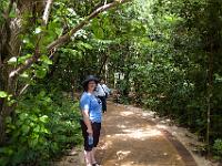 Cairns2009-81 : 2009 Holidays, Cairns, Green Island, Queensland, road trip, snorkelling