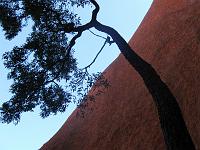  Looking up