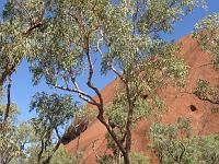 IMG_1207
