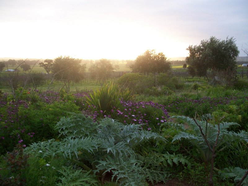 view at the reception venue