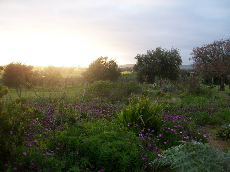 view at the reception venue