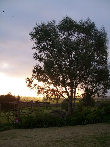 view at the reception venue