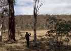 NamadjiNP-38  in the valley : Monday, Namadji, Namadji National Park, October Long Weekend