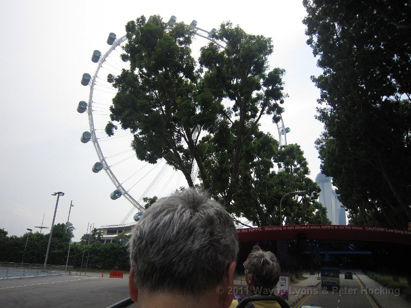 Singapore2011-52
