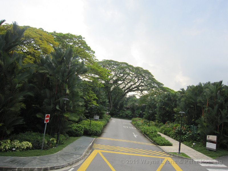 Singapore2011-88