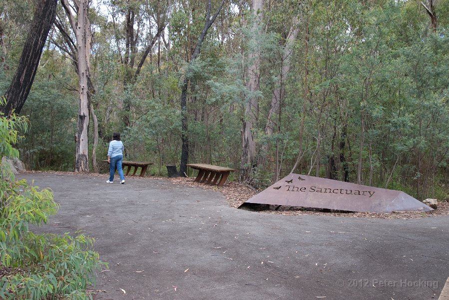 Tidbinbilla-48