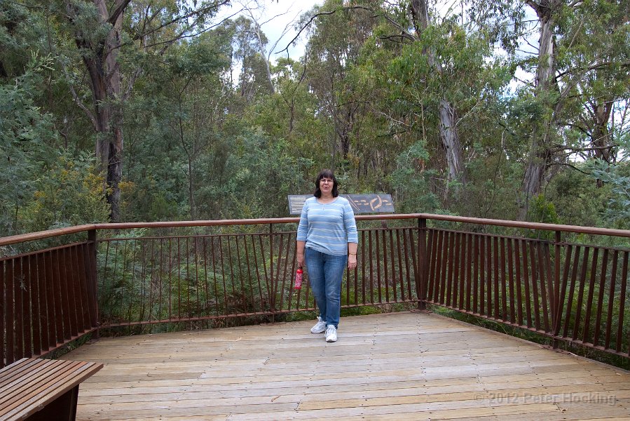 Tidbinbilla-59