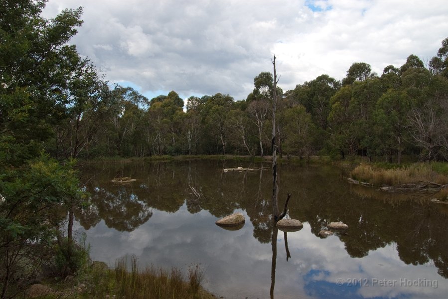 Tidbinbilla-65