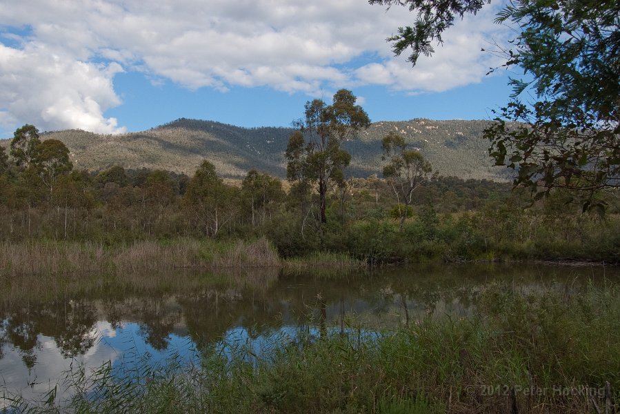 Tidbinbilla-76