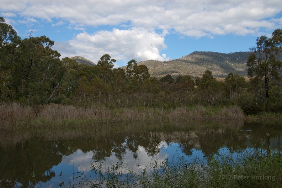 Tidbinbilla-78