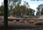 Tidbinbilla-6  Payground :) : March, Tidbinbilla Nature Reserve, radio telescope