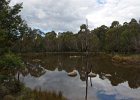 Tidbinbilla-65 : March, Tidbinbilla Nature Reserve, radio telescope