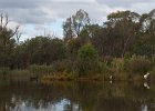 Tidbinbilla-71 : March, Tidbinbilla Nature Reserve, radio telescope