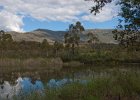 Tidbinbilla-76 : March, Tidbinbilla Nature Reserve, radio telescope