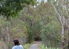 Tidbinbilla-81 : March, Tidbinbilla Nature Reserve, radio telescope