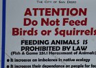 P1000170  Don't feed the squirrels
