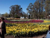 Floriade2013-10 : 2006, 2013, Canberra, Christian Family Centre, Floriade, Grafton