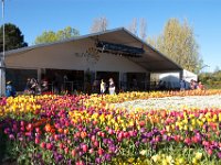 Floriade2013-108 : 2013, Canberra, Floriade