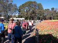 Floriade2013-11 : 2013, Canberra, Floriade