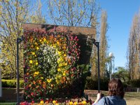 Floriade2013-111 : 2013, Canberra, Floriade